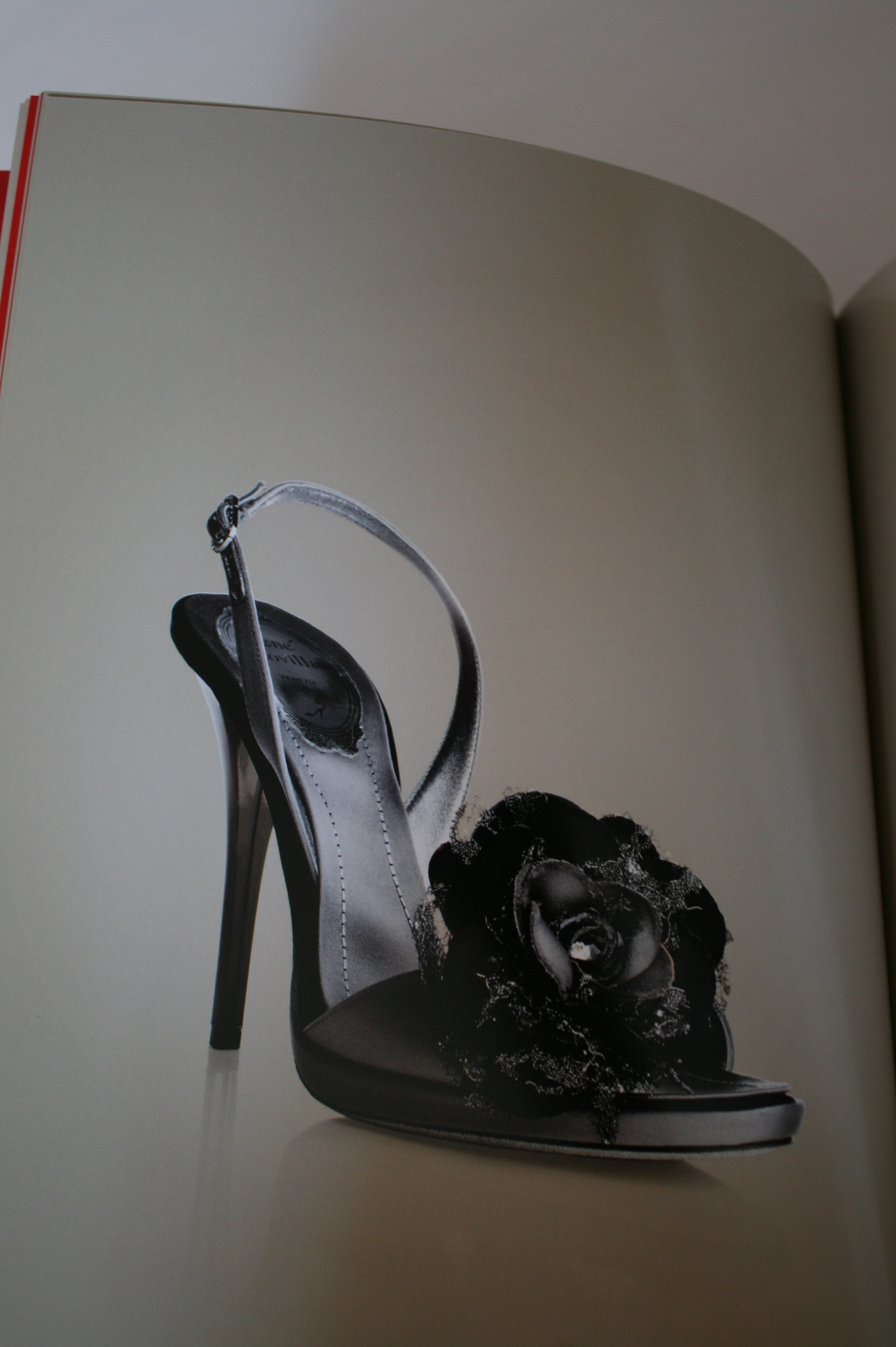 IMG_4557 caovilla F/W 2011 2012