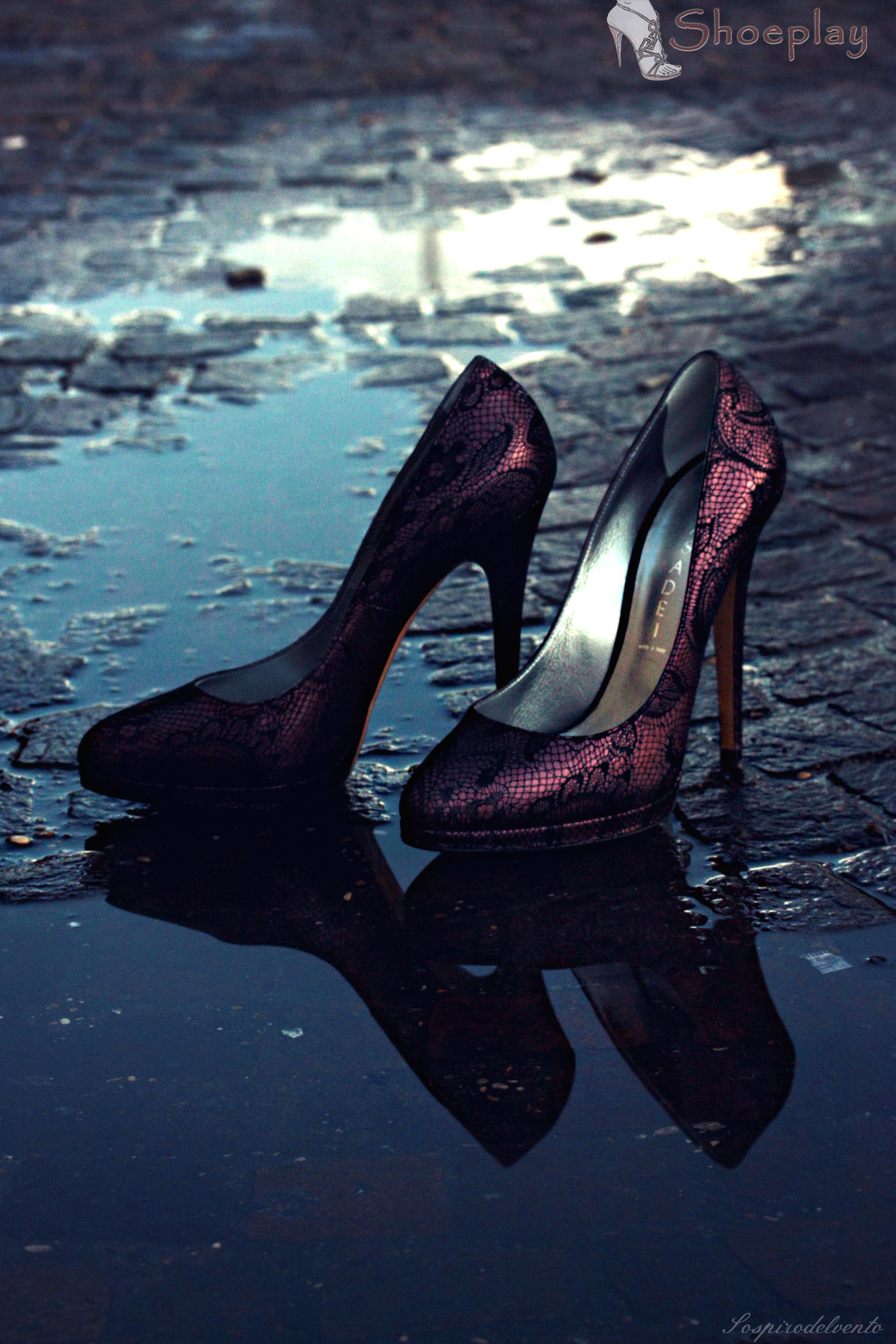 casadei scarpa in pizzo