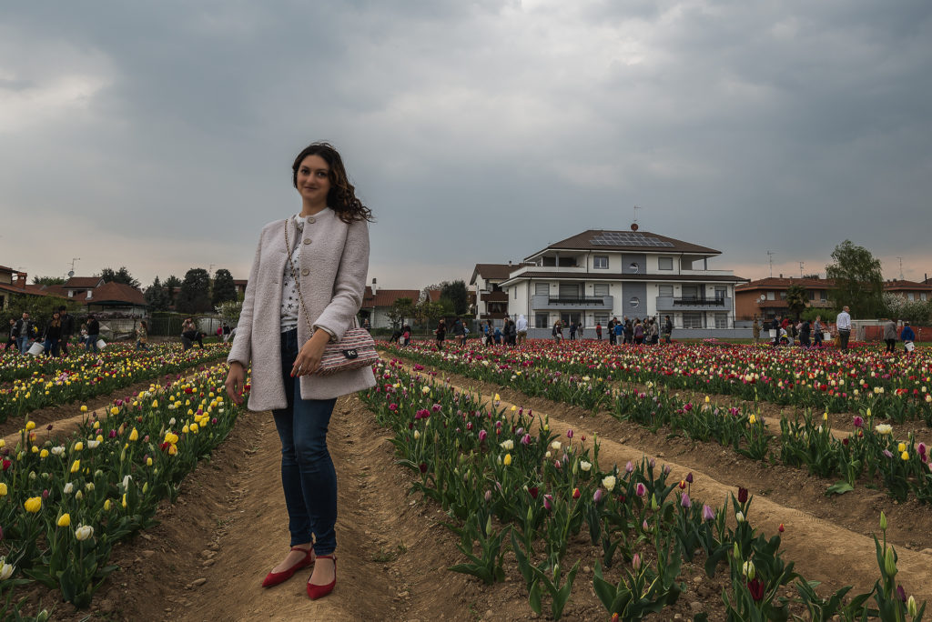 tulipani italiani
