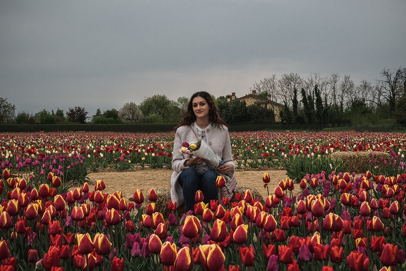 tulipani italiani milano